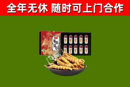 瓜州回收冬虫夏草价格